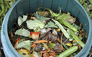 廚余垃圾